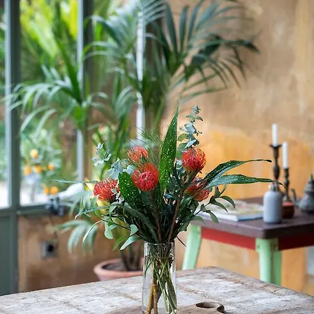 Les Hamaques Bed and breakfast *