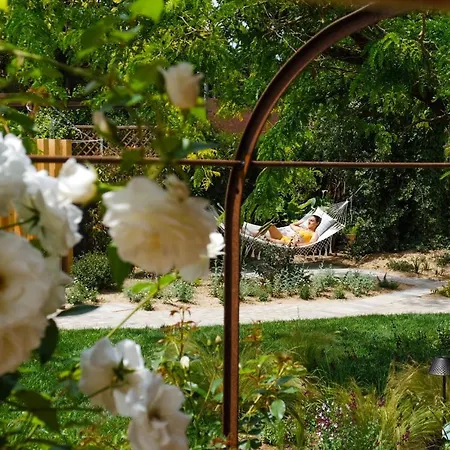 Les Hamaques Bed and breakfast