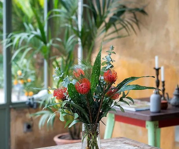 Les Hamaques Bed & Breakfast 3*